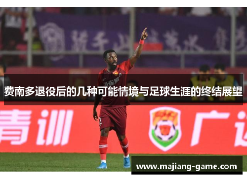费南多退役后的几种可能情境与足球生涯的终结展望 费南多退役后的几种可能情境与足球生涯的终结展望