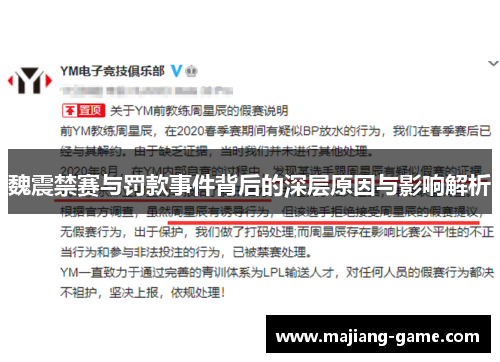 魏震禁赛与罚款事件背后的深层原因与影响解析